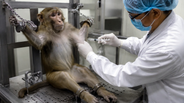 La ciencia que aún encierra sufrimiento