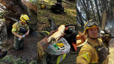 Frente a incendios más intensos, científicos, brigadistas y comunicadores buscan fortalecer la articulación en la Patagonia
