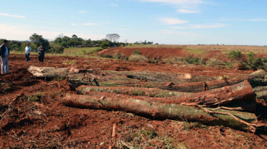 Día del Ambiente, crisis climática y nuevas amenazas extractivistas