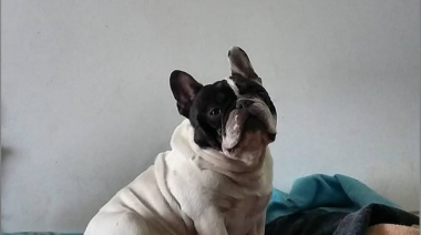 Cuando Un Amigo Se Va Queda Un Espacio Vacio...