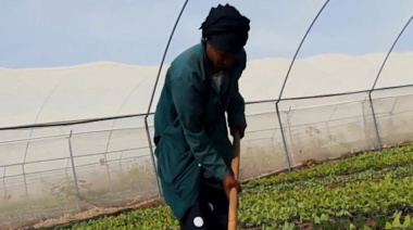 El Fenómeno El Niño y las tensiones geopolíticas amenazan los mercados alimentarios mundiales