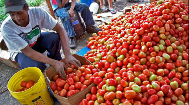 Emprendimientos locales impulsan nuevas oportunidades económicas en Honduras