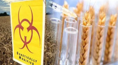 Europa abre la puerta a una nueva ofensiva corporativa sobre las semillas y la soberanía alimentaria.