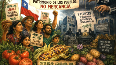 Una tarea pendiente: reconocer las Semillas de Dominio Público