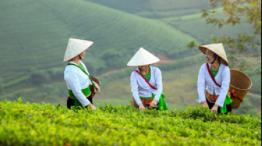 Día Mundial del Desarrollo Rural