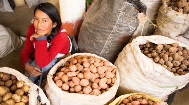 Guerra del Golfo; Afecta Economía.