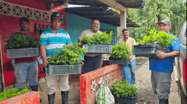 Más de 11.600 productores de Centroamérica se incorporan al mercado voluntario de carbono