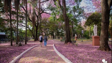 Vecinos de la Plaza Uruguaya en contra de la tala de 37 árboles