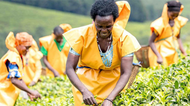Alimentar a África: las agricultoras, clave para acabar con el hambre