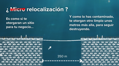 ONGs rechazan flexibilización de estándares ambientales para la industria salmonera en Chile
