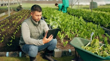 Finanzas regenerativas: Nuevos modelos de inversión que buscan transformar la agricultura en América Latina