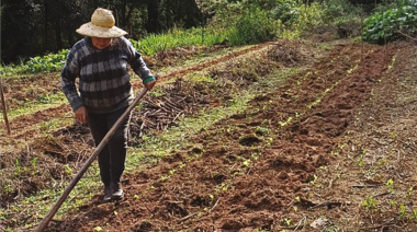 Tierra Prometida: una comunidad campesina que resiste al agronegocio y protege el Bosque Atlántico