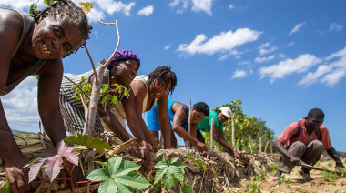 República Dominicana: cuando el campo deja de hablar creole, la canasta básica se tambalea