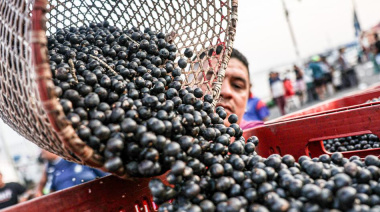 América Latina busca convertir su potencial agroalimentario en inversiones para el campo