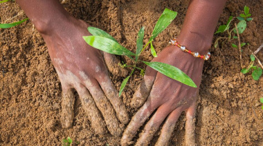 La degradación de la tierra cuesta al mundo casi un billón de dólares al año