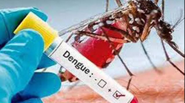 Ecuador registra 32 mil 576 casos de dengue y 35 fallecidos