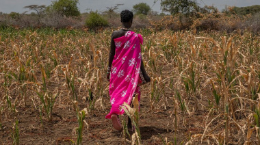 El Niño pone a prueba la capacidad del mundo para adaptarse al cambio climático