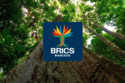 BRICS 2025: Nota Conceptual de la Presidencia «pro témpore» de Brasil – Cumbre de Río de Janeiro