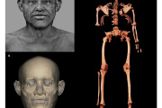 Revelan la cara de un egipcio que vivió hace 4.800 años