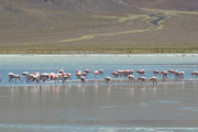 Comunidades indígenas registran el primer “Territorio de Vida” de Argentina en Salta