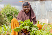Semillas de recuperación: Soluciones lideradas por Somalia en un punto de inflexión