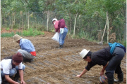 La Minga y el trabajo voluntario: herencia, tradición y práctica bien Latina