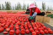 China tiene todos los números para apostar a Xinjiang