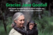 Gracias Jane Goodall