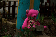 Democracia asesina de niños