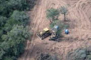 Según últimos análisis, Argentina perdió 10,5 millones de hectáreas de bosques nativos en los últimos 40 años