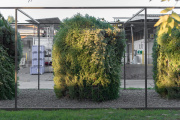 Biofiltración basada en microorganismos y vegetación transforman la calefacción a leña en combustión limpia