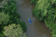 Sudamérica registró la mayor pérdida de bosques del planeta en la última década