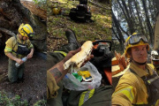 Frente a incendios más intensos, científicos, brigadistas y comunicadores buscan fortalecer la articulación en la Patagonia