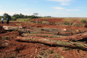 Día del Ambiente, crisis climática y nuevas amenazas extractivistas