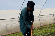 El Fenómeno El Niño y las tensiones geopolíticas amenazan los mercados alimentarios mundiales