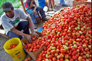 Emprendimientos locales impulsan nuevas oportunidades económicas en Honduras