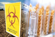 Europa abre la puerta a una nueva ofensiva corporativa sobre las semillas y la soberanía alimentaria.