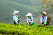 Día Mundial del Desarrollo Rural
