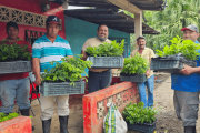 Más de 11.600 productores de Centroamérica se incorporan al mercado voluntario de carbono