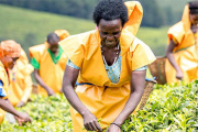 Alimentar a África: las agricultoras, clave para acabar con el hambre