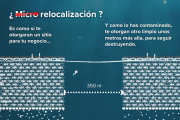 ONGs rechazan flexibilización de estándares ambientales para la industria salmonera en Chile