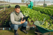 Finanzas regenerativas: Nuevos modelos de inversión que buscan transformar la agricultura en América Latina