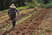 Tierra Prometida: una comunidad campesina que resiste al agronegocio y protege el Bosque Atlántico