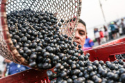 América Latina busca convertir su potencial agroalimentario en inversiones para el campo