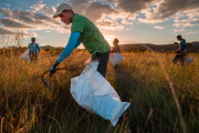 Brasil: una red de más de 180 organizaciones impulsa la restauración del Cerrado