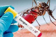 Ecuador registra 32 mil 576 casos de dengue y 35 fallecidos