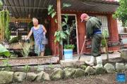 Cubanos convierten patios en huertos ante crisis alimentaria