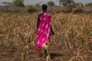 El Niño pone a prueba la capacidad del mundo para adaptarse al cambio climático