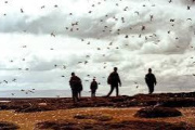 Las Malvinas: desde Galtieri y Reagan hasta Milei y Trump