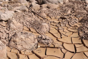 El Niño gana fuerza en América Latina: sequía, hambre y riesgo de inundaciones marcan los próximos meses